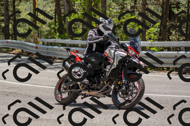 202506011310-DSC_5546_c4_