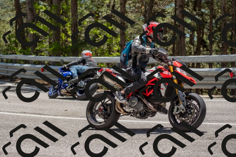 202506011310-DSC_5548_c4_