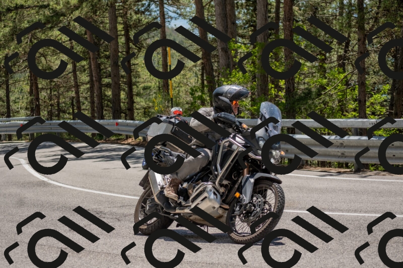 202506011310-DSC_5549_c4_