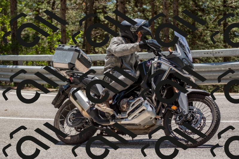 202506011310-DSC_5550_c4_