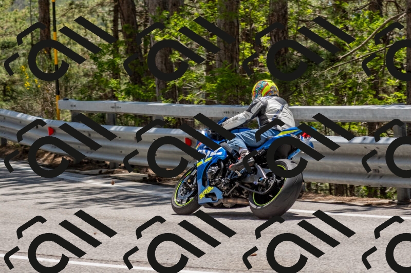 202506011310-DSC_5552_c4_