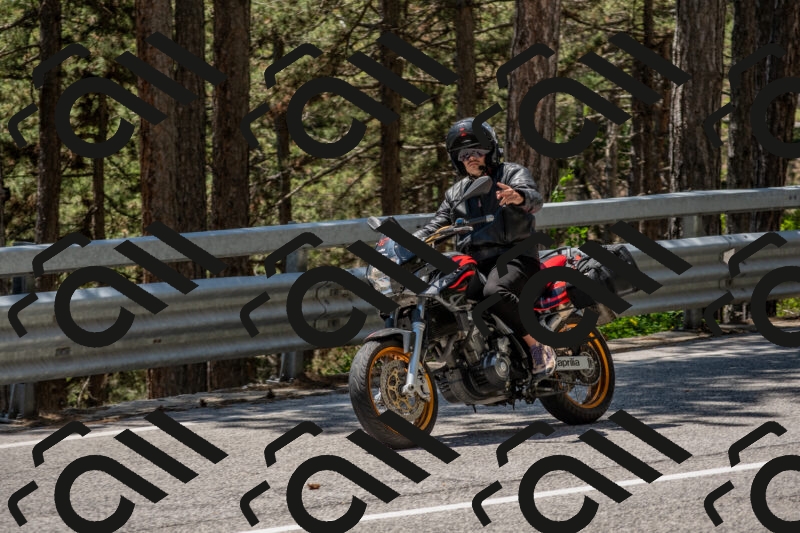 202506011311-DSC_5561_c4_