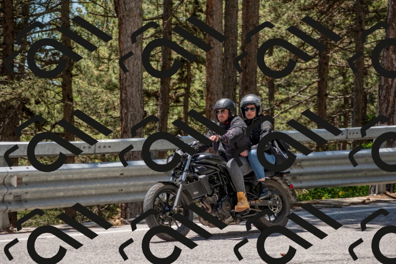 202506011311-DSC_5563_c4_