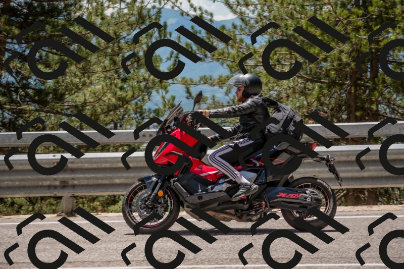 202506011311-DSC_5567_c4_