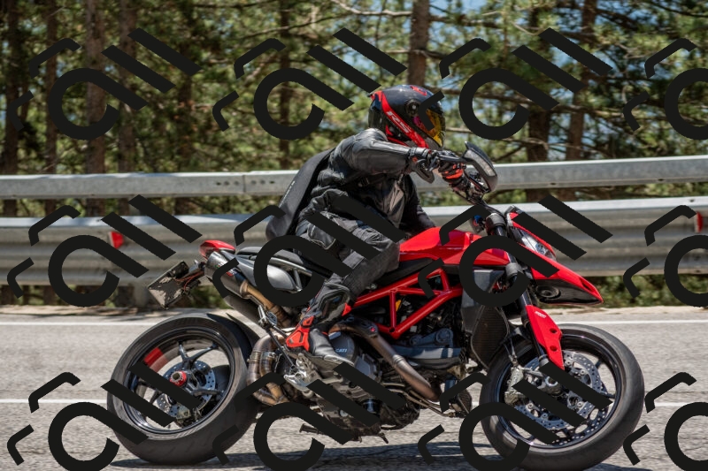 202506011311-DSC_5571_c4_