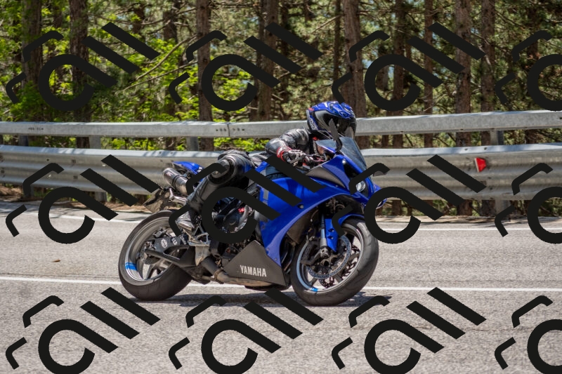 202506011311-DSC_5572_c4_