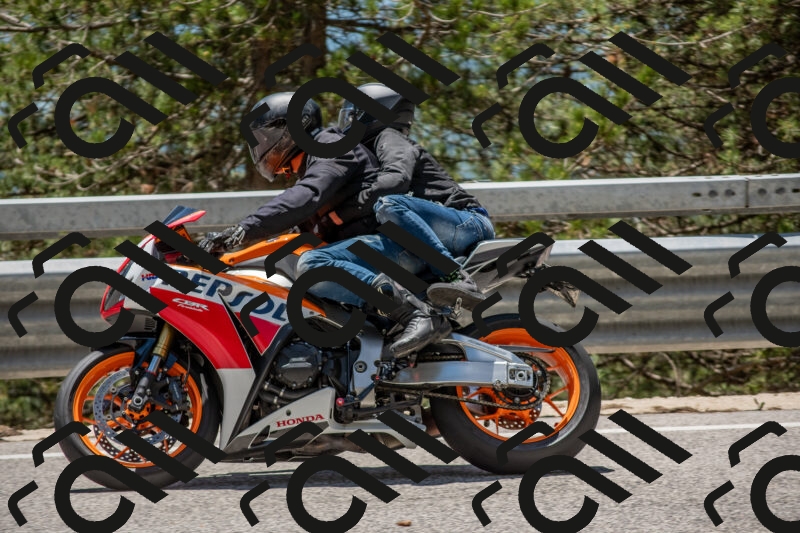 202506011311-DSC_5574_c4_