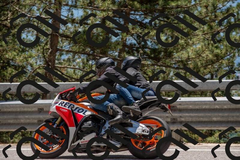 202506011311-DSC_5575_c4_