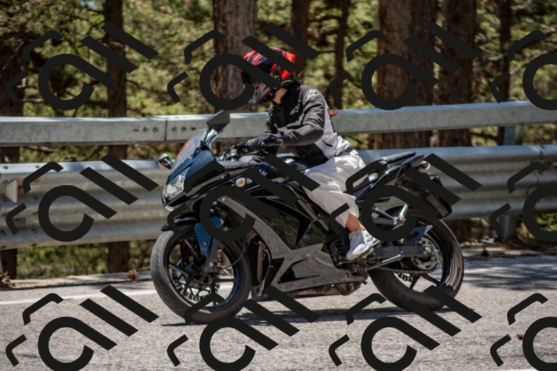 202506011311-DSC_5577_c4_