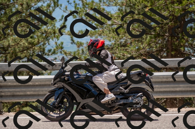 202506011311-DSC_5578_c4_