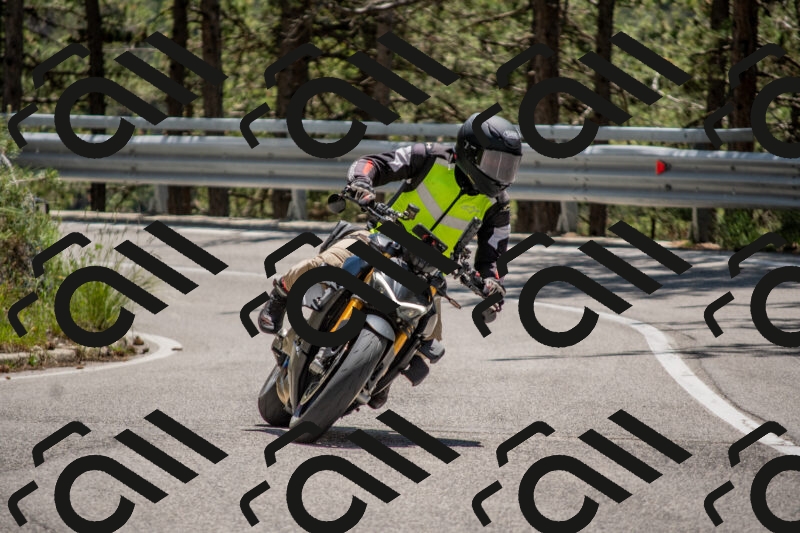 202506011311-DSC_5579_c4_