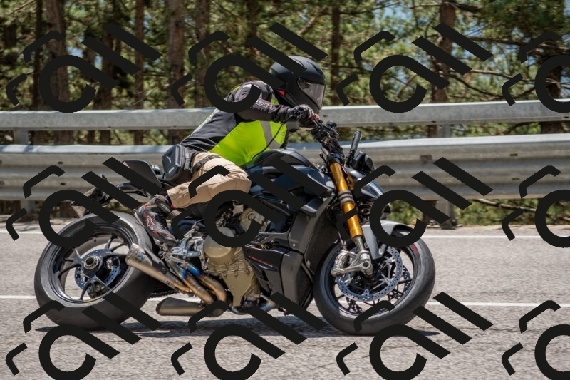 202506011311-DSC_5581_c4_