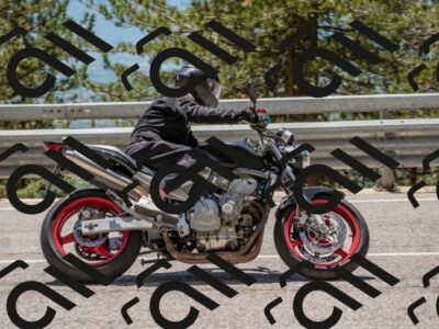 202506011313-DSC_5610_c4_