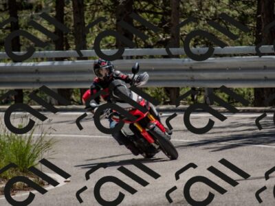 202506011314-DSC_5615_c4_