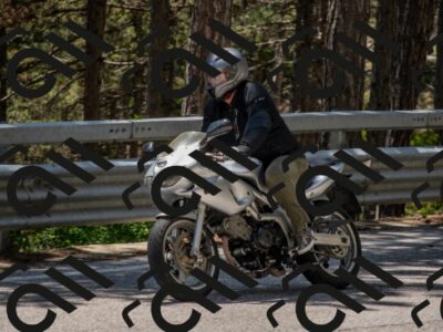 202506011316-DSC_5633_c4_