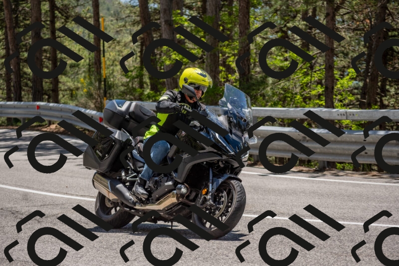 202506011318-DSC_5667_c4_