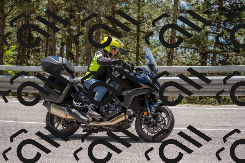 202506011318-DSC_5668_c4_