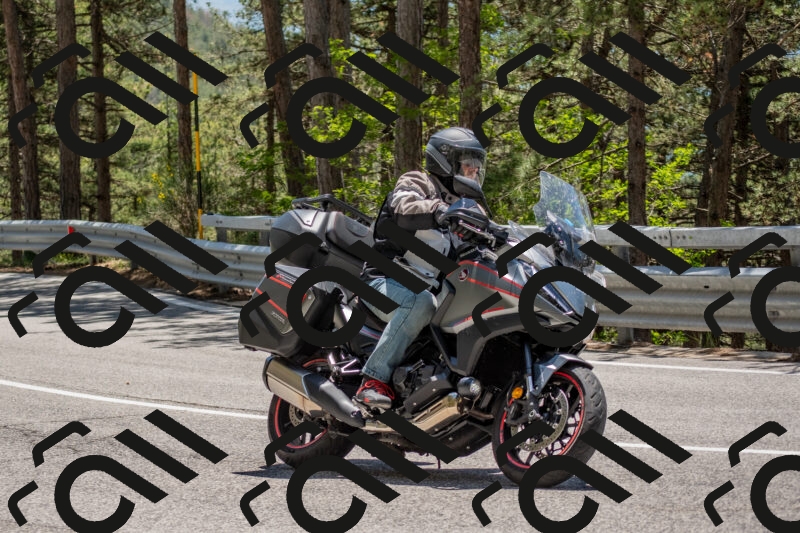 202506011318-DSC_5669_c4_