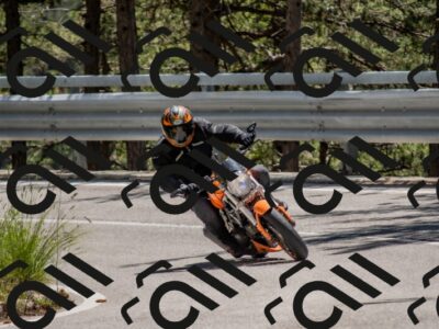 202506011318-DSC_5676_c4_