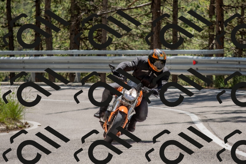 202506011318-DSC_5677_c4_