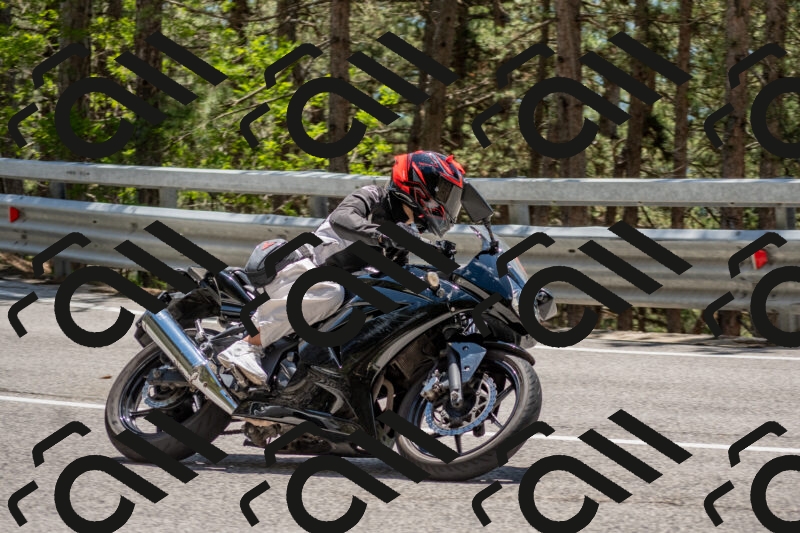 202506011318-DSC_5681_c4_