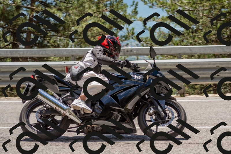 202506011318-DSC_5682_c4_