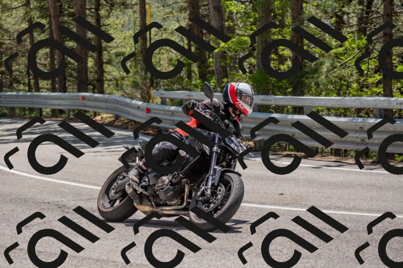 202506011318-DSC_5683_c4_