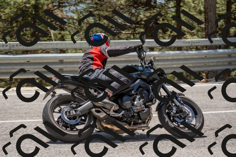 202506011318-DSC_5685_c4_