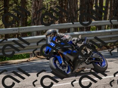 202506011319-DSC_5687_c4_