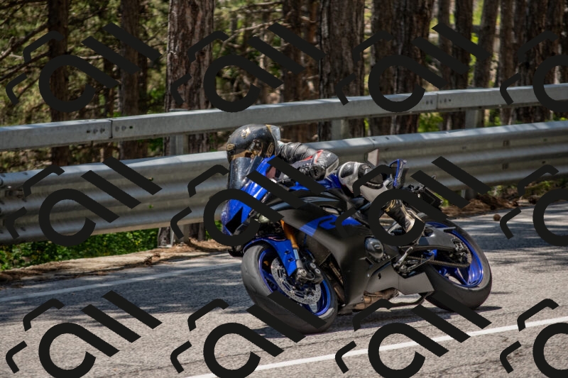 202506011319-DSC_5687_c4_