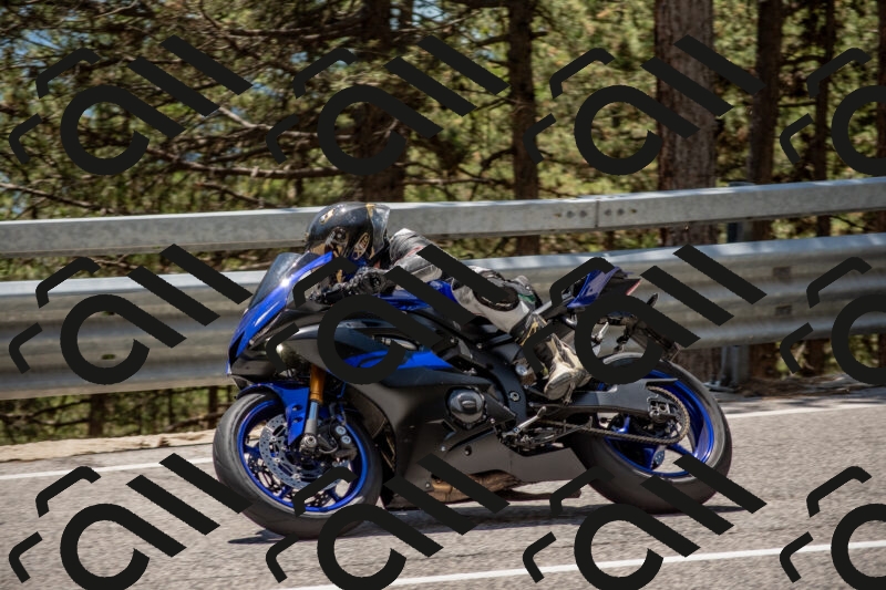 202506011319-DSC_5688_c4_