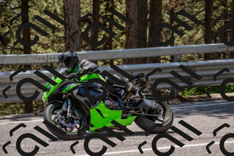 202506011319-DSC_5689_c4_