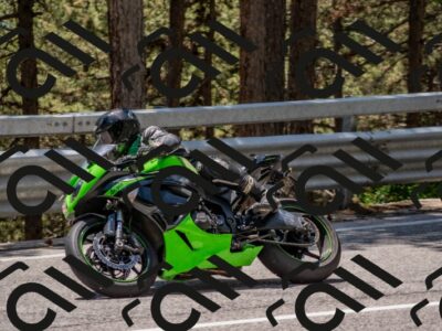 202506011319-DSC_5689_c4_