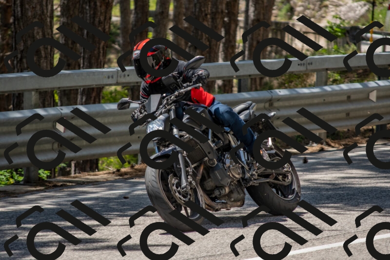 202506011320-DSC_5693_c4_