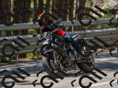 202506011320-DSC_5693_c4_