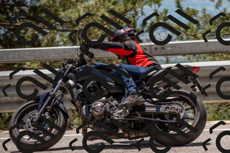 202506011320-DSC_5695_c4_