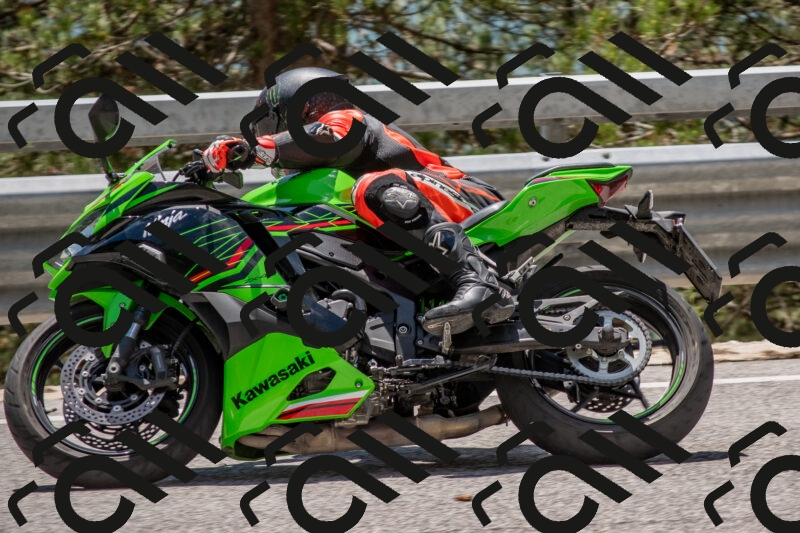 202506011320-DSC_5701_c4_