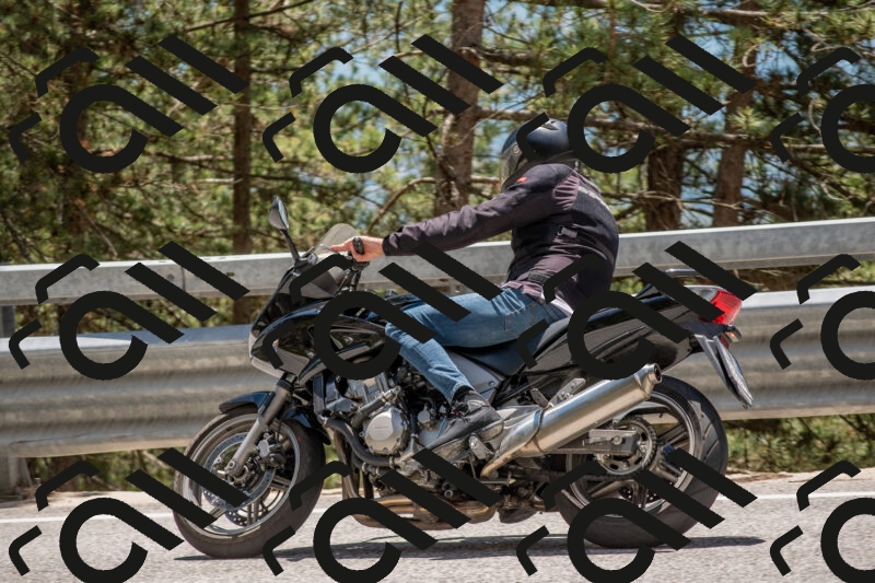 202506011321-DSC_5708_c4_