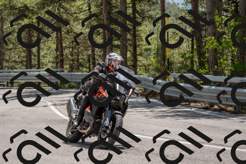 202506011321-DSC_5710_c4_