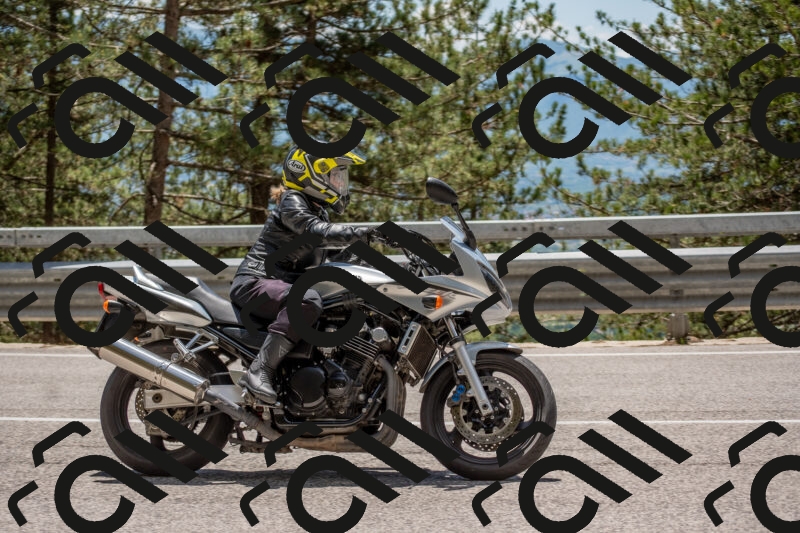 202506011321-DSC_5713_c4_