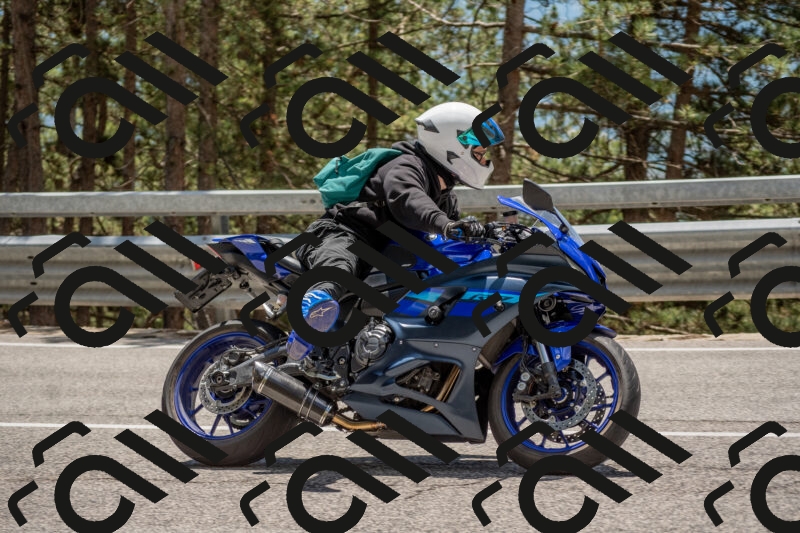 202506011321-DSC_5715_c4_