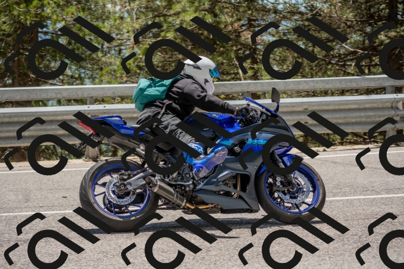 202506011321-DSC_5716_c4_