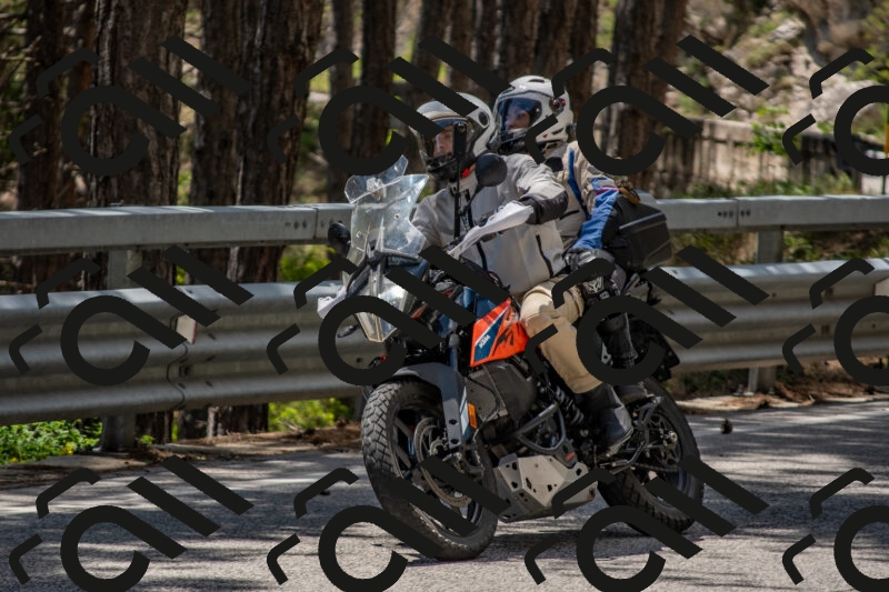 202506011322-DSC_5717_c4_