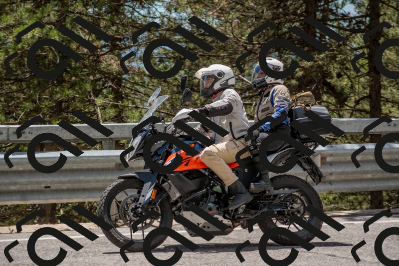 202506011322-DSC_5718_c4_