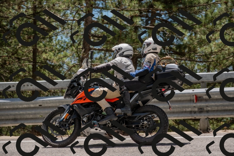 202506011322-DSC_5719_c4_