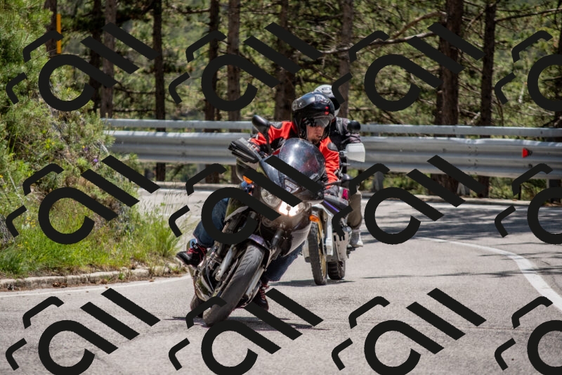 202506011323-DSC_5720_c4_