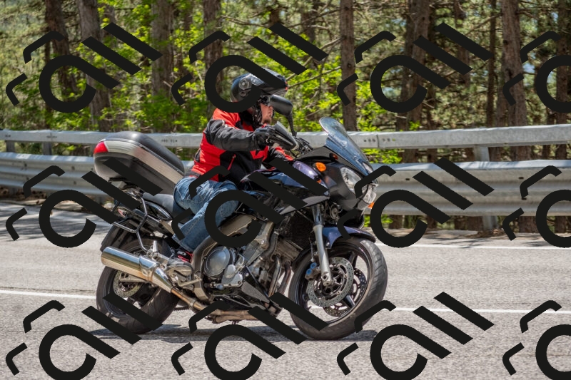 202506011323-DSC_5722_c4_