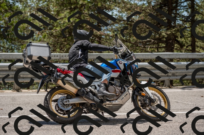 202506011323-DSC_5727_c4_