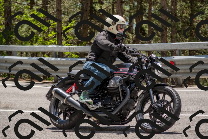 202506011323-DSC_5728_c4_