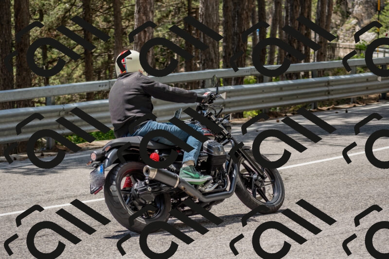 202506011323-DSC_5730_c4_